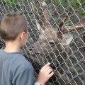 35